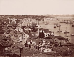 fundal